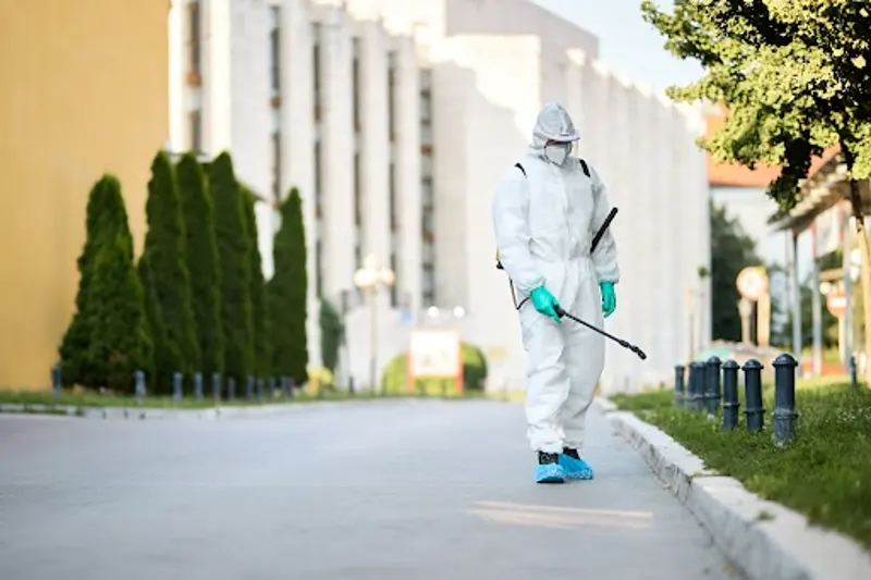The Hidden Risks of Waiting Too Long to Address a Pest Problem