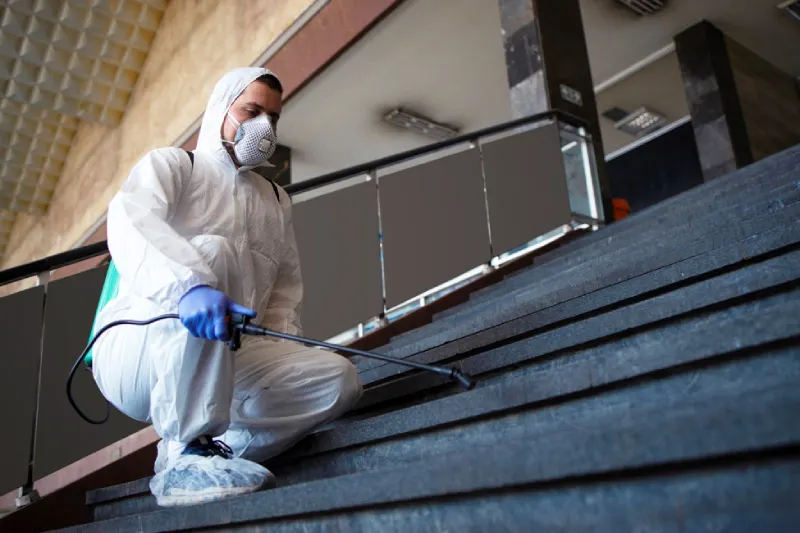 cockroach removal Staten Island NY